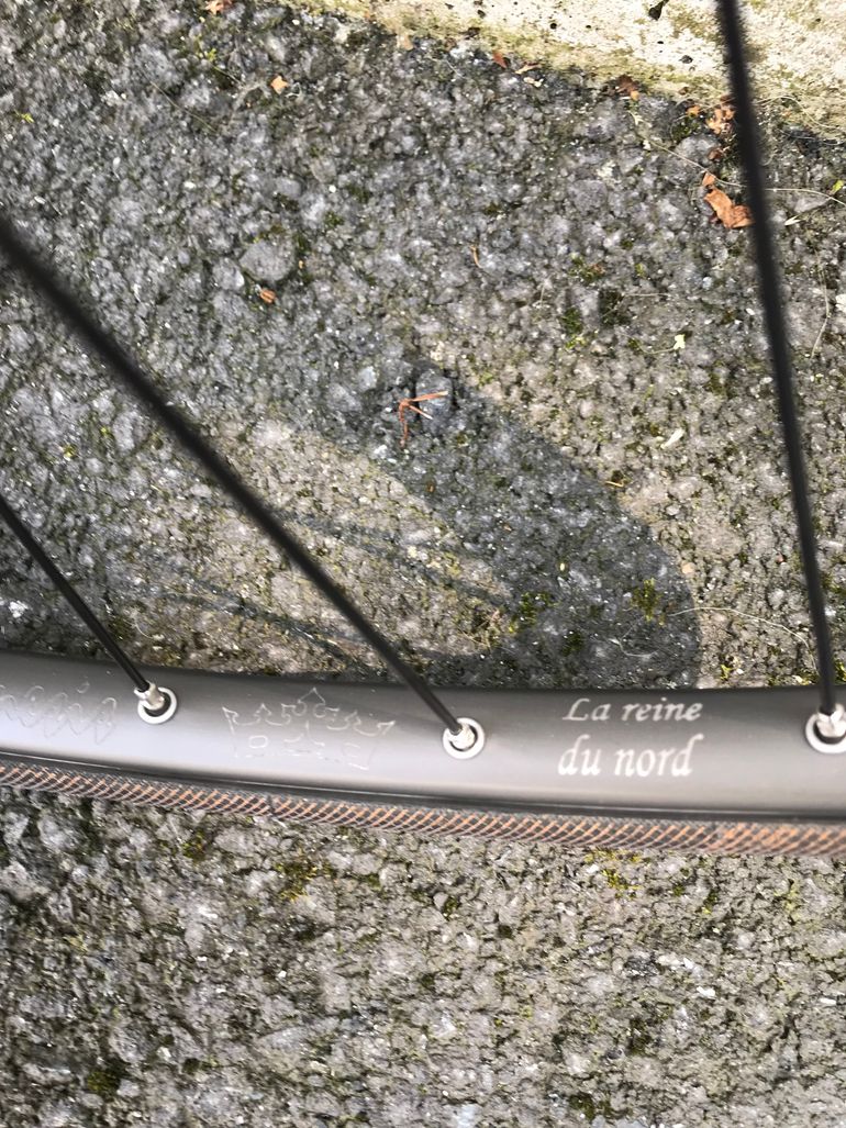 Used Campagnolo Nemesis 2014 bike — image 7 of 7