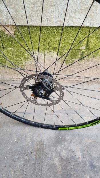 Stans Notubes Rapid 2017 bike usato — immagine 5 di 5