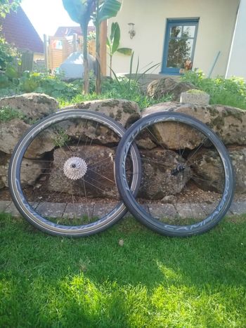 Tweedehands Campagnolo Bora Ultra AC 3 Dark 35 2020 Wheels