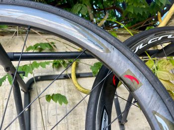 Used Fulcrum Fulcrum Racing Quattro Carbon 2021 bike — image 18 of 20