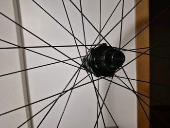 Newmen Performance 30 size 29 2023 bike usato — immagine 5 di 6