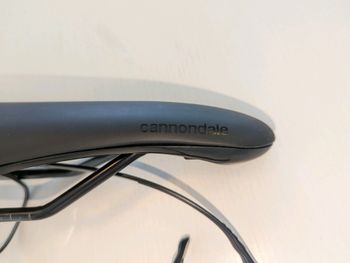 Cannondale Scoop steel 2024