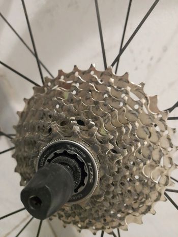 Used Cbk carbono 2023 bike — image 3 of 3