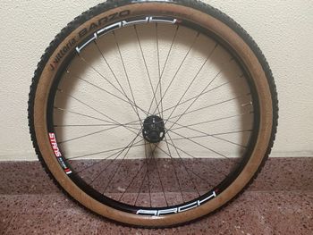 Gebrauchtes Stans Notubes Arch MK3 2024 bike — Bild 2 von 10