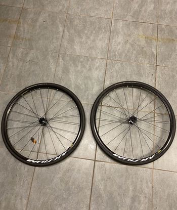 Used Mavic Aksium disc 2023 bike — image 1 of 4