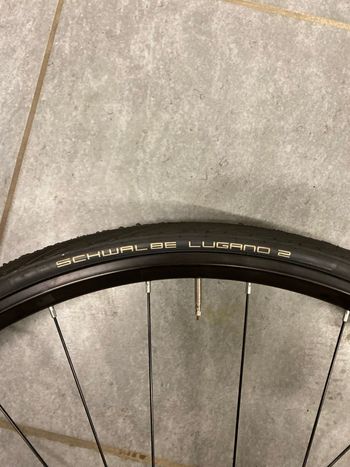 Used Mavic Aksium disc 2023 bike — image 4 of 4