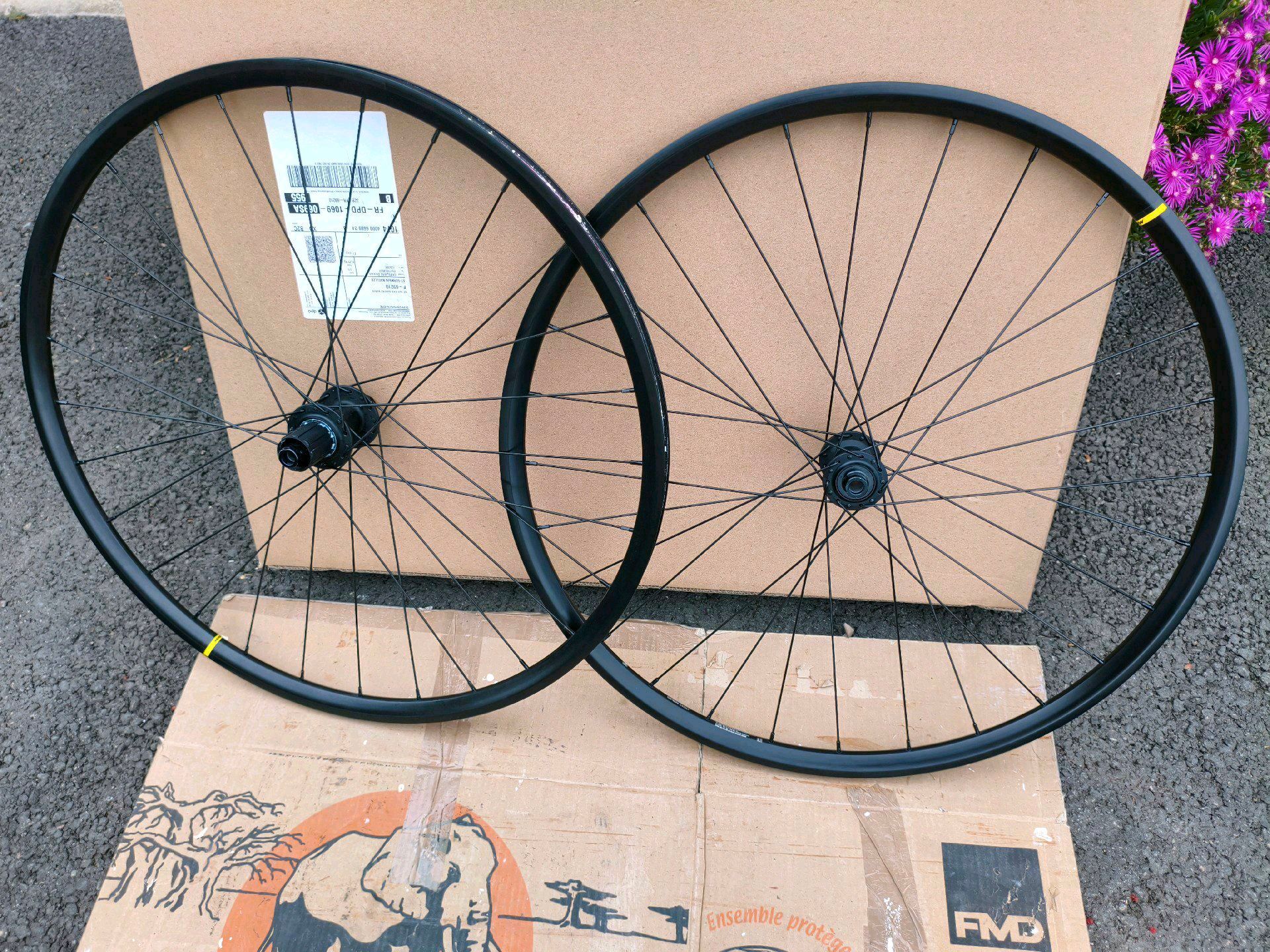 Mavic open disc 2022