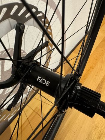 Brugt Newmen Beskar 30 2025 bike — billede 4 af 7