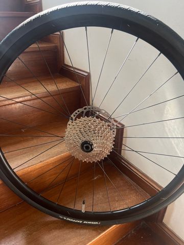 Shimano Rodi 622 19C 2023 Wheels usato