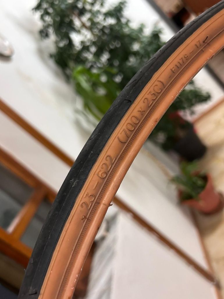 Used brn bernardi . 2025 bike — image 4 of 4