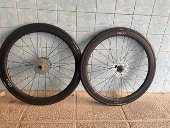 OQUO, rp45 team