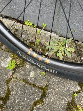 Używany EXTRALITE TrueBc XC Carbon Hyperboost 3 2024 bike — zdjęcie 4 z 12