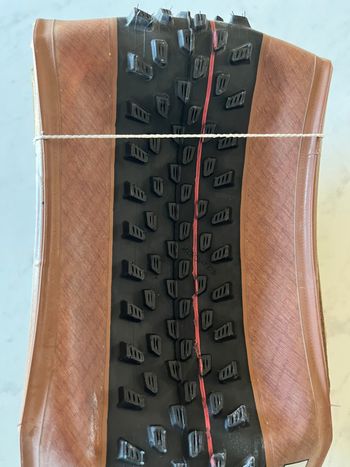 Used Schwalbe Racing Ray 2024 bike — image 3 of 8