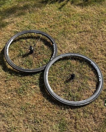 Brugt 32 WS Black Boyaux 2021 Wheels