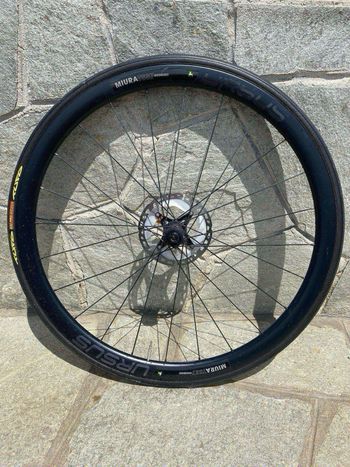 URSUS, miura ts 37 evodisc