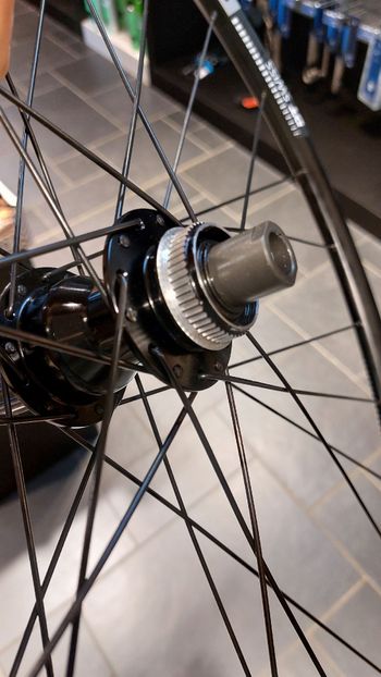 Used Dt Swiss R470/Shimano hub 2025 bike — image 2 of 4