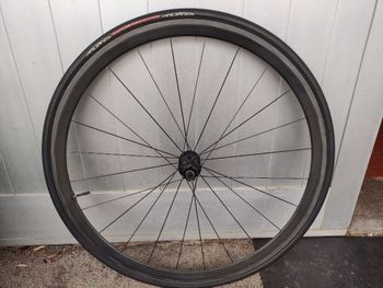 Reynolds, mv 32 dt swiss 240