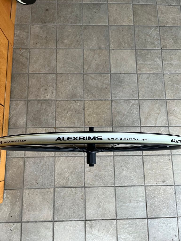 Used Alexrims Alexrims Boondocks5 2024 bike — image 4 of 5