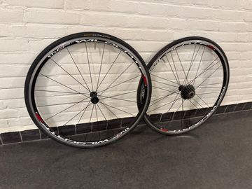 Brugt Pinarello Most Wildcat Campagnolo 2017 bike — billede 3 af 4