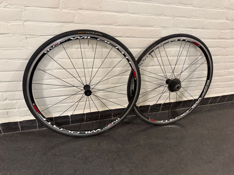 Brugt Pinarello Most Wildcat Campagnolo 2017 bike — billede 3 af 4