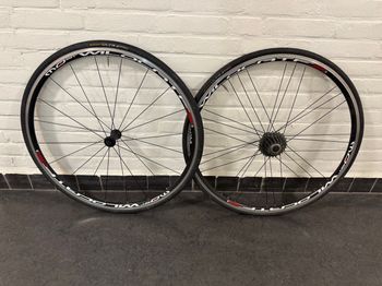 Brugt Pinarello Most Wildcat Campagnolo 2017 Wheels