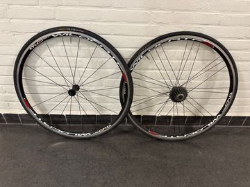 Tweedehands Pinarello Most Wildcat Campagnolo 2017 Wheels
