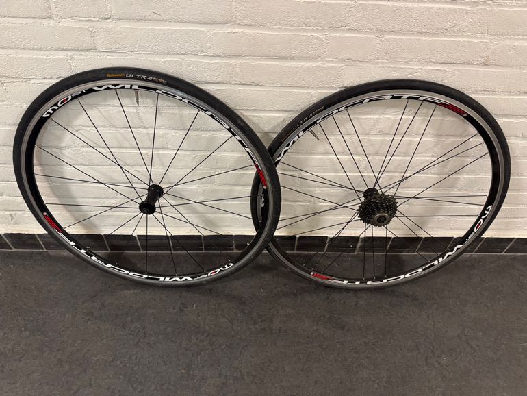 Pinarello Most Wildcat Campagnolo 2017