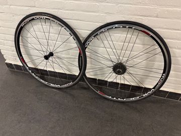 Brugt Pinarello Most Wildcat Campagnolo 2017 bike — billede 2 af 4