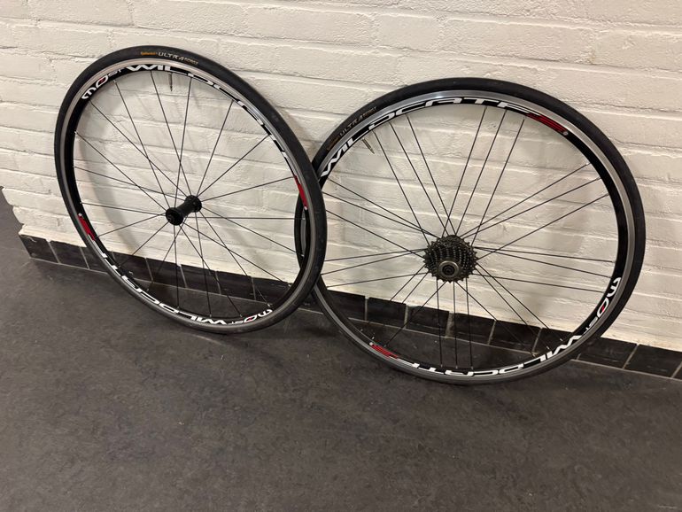 Brugt Pinarello Most Wildcat Campagnolo 2017 bike — billede 2 af 4