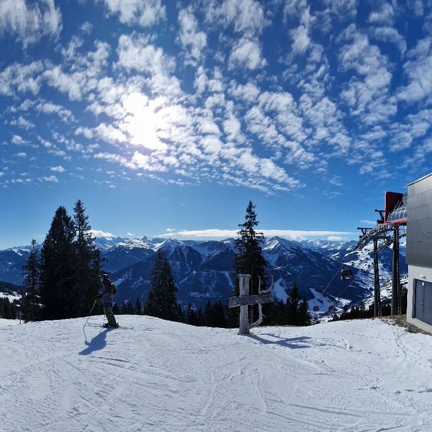 LS