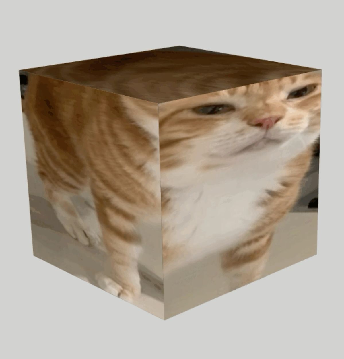 VV