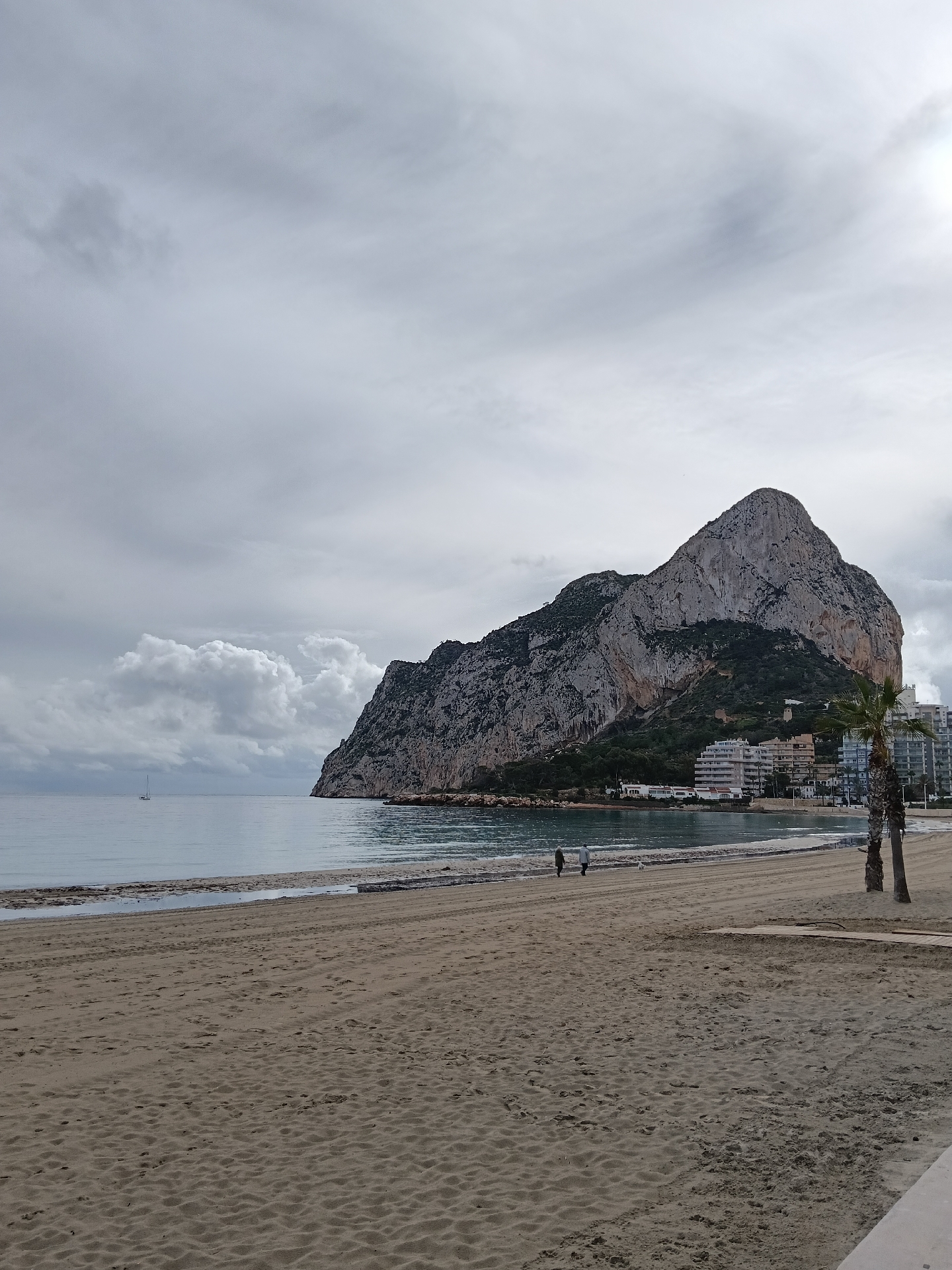 SS