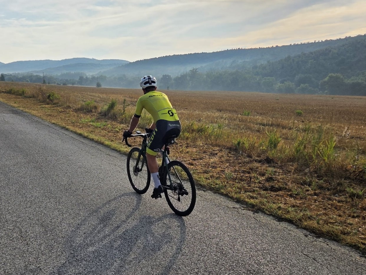 GM