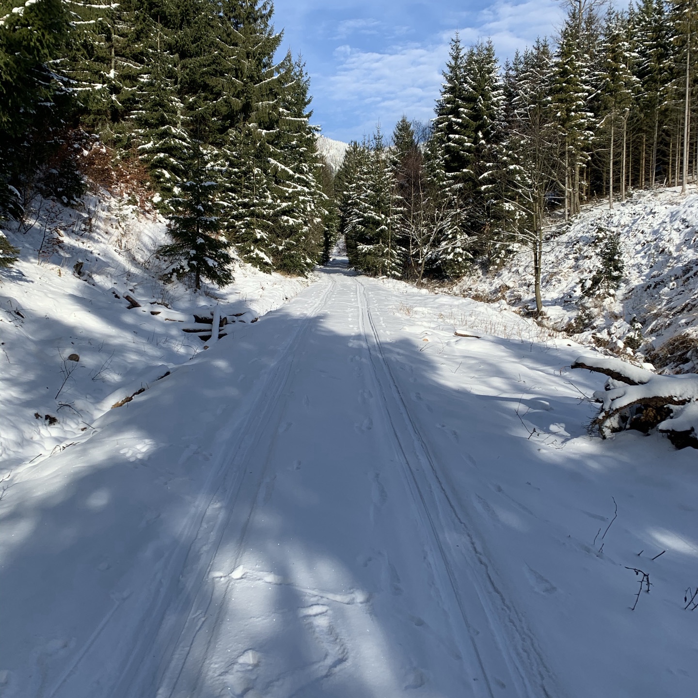 JM