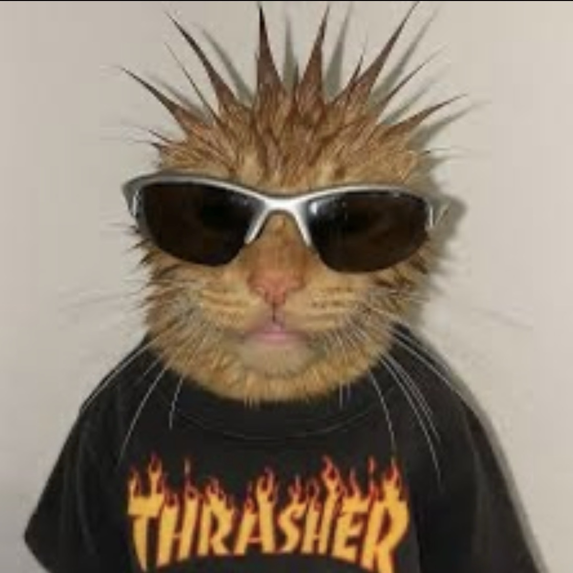 MS