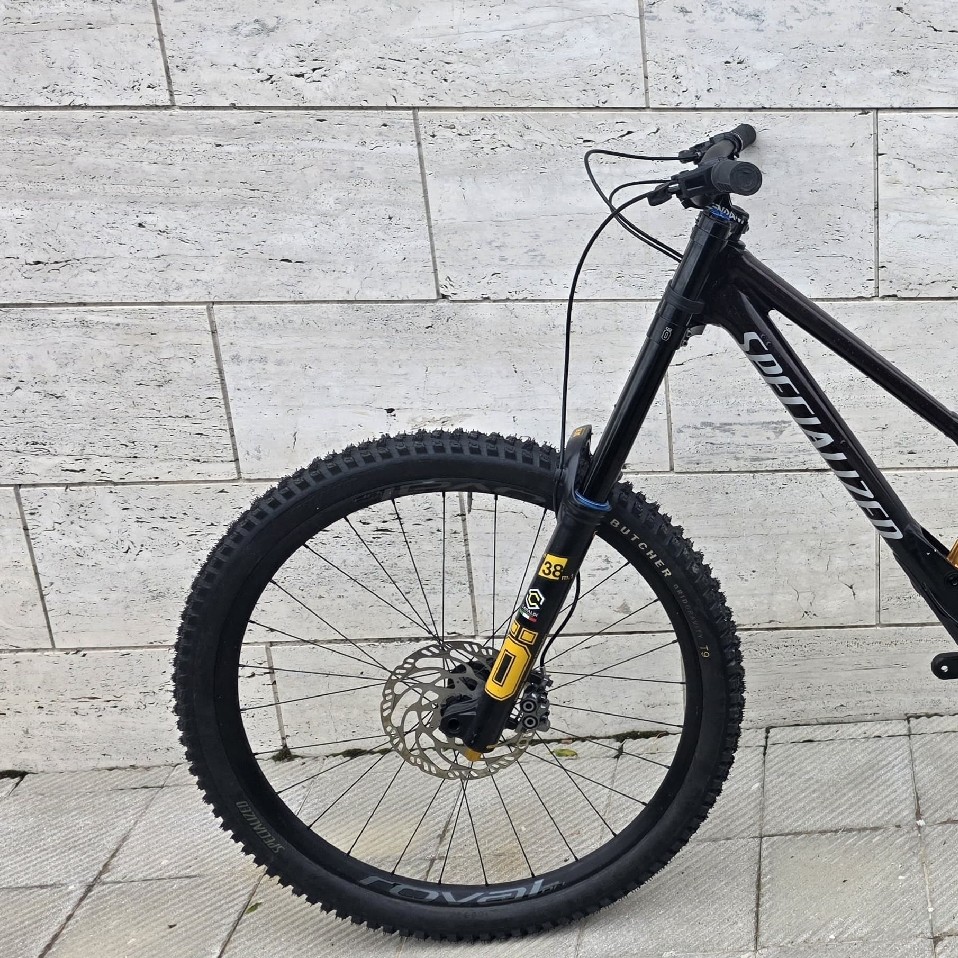 MD