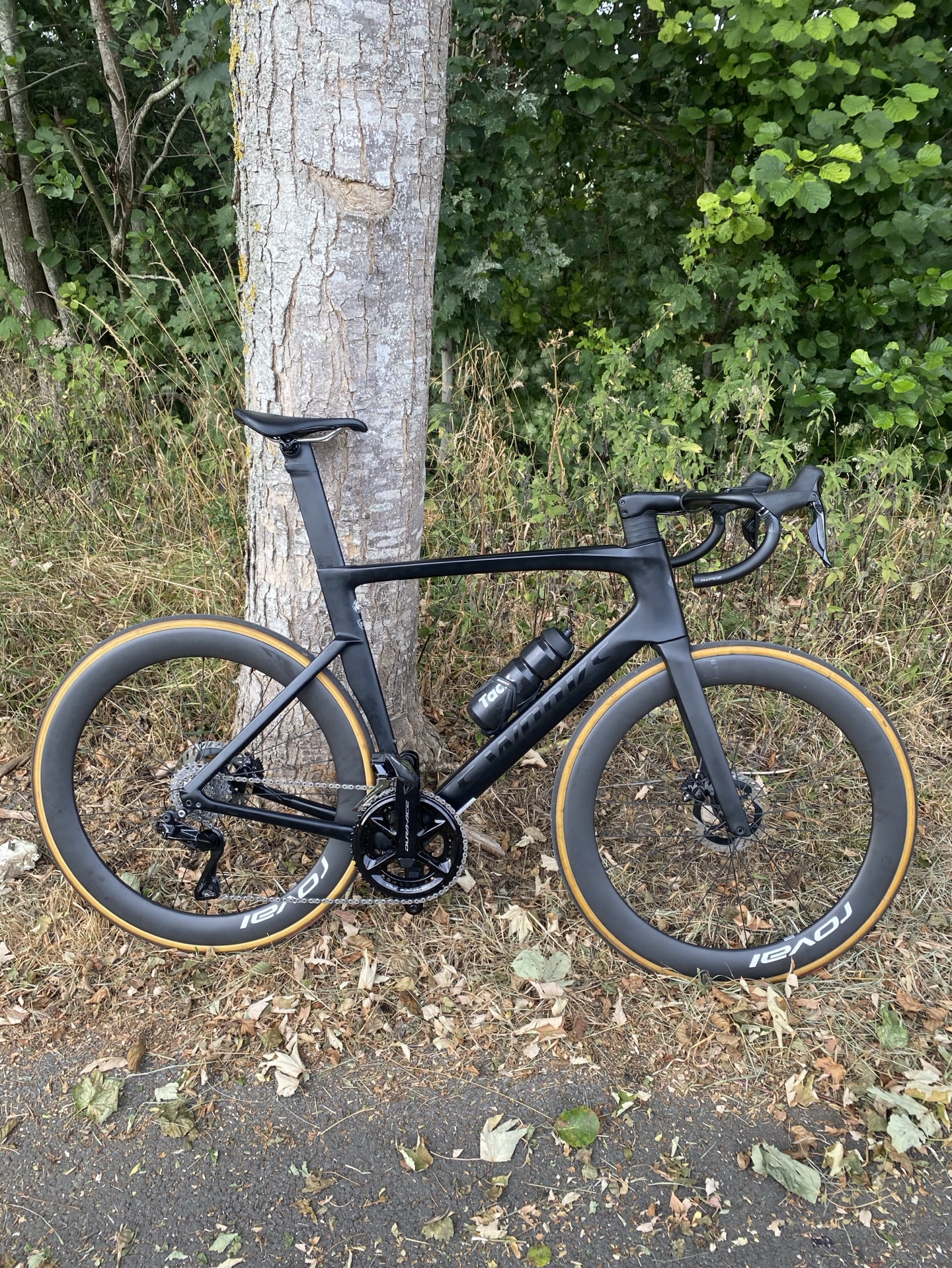 FS
