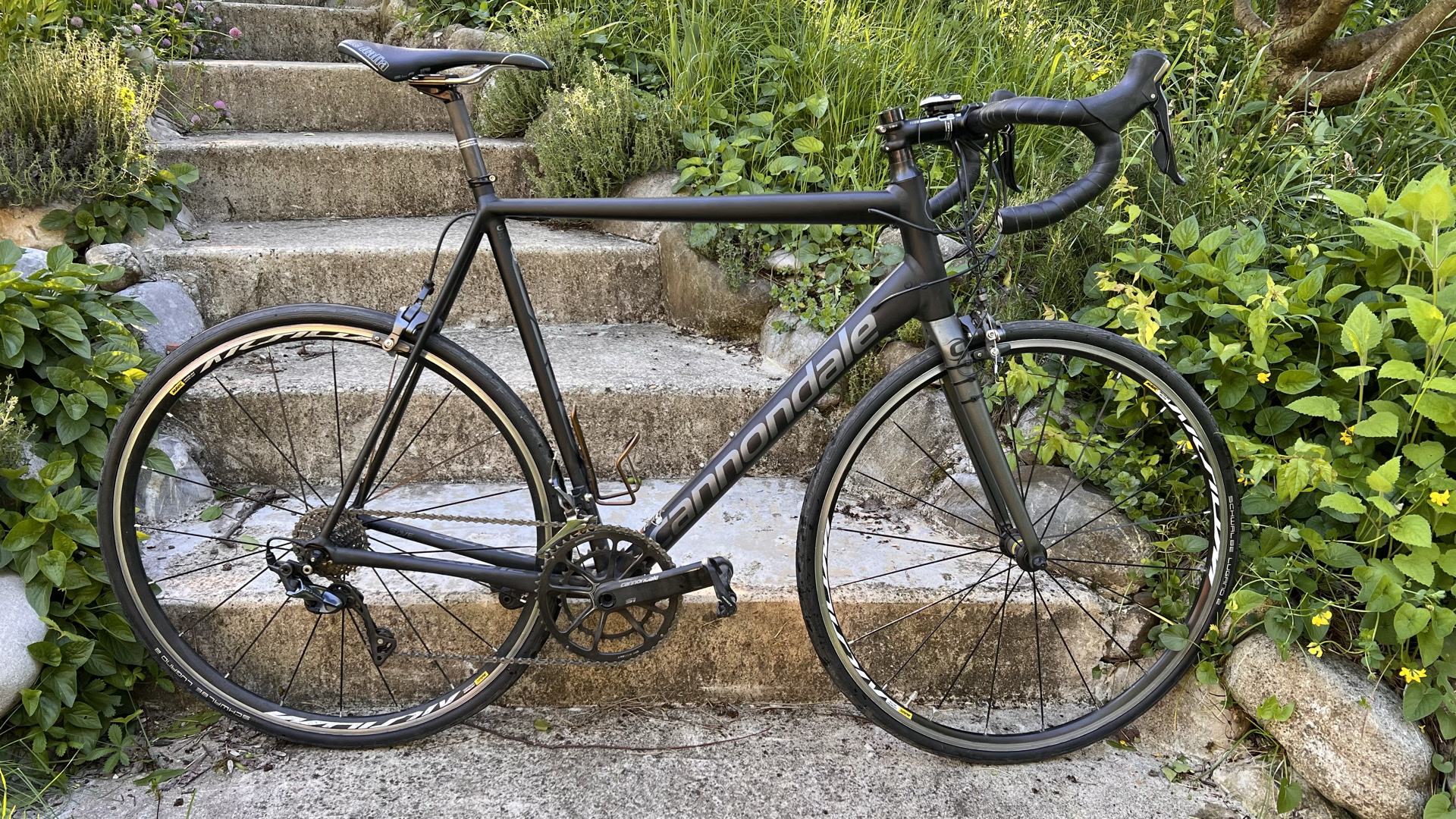 SV