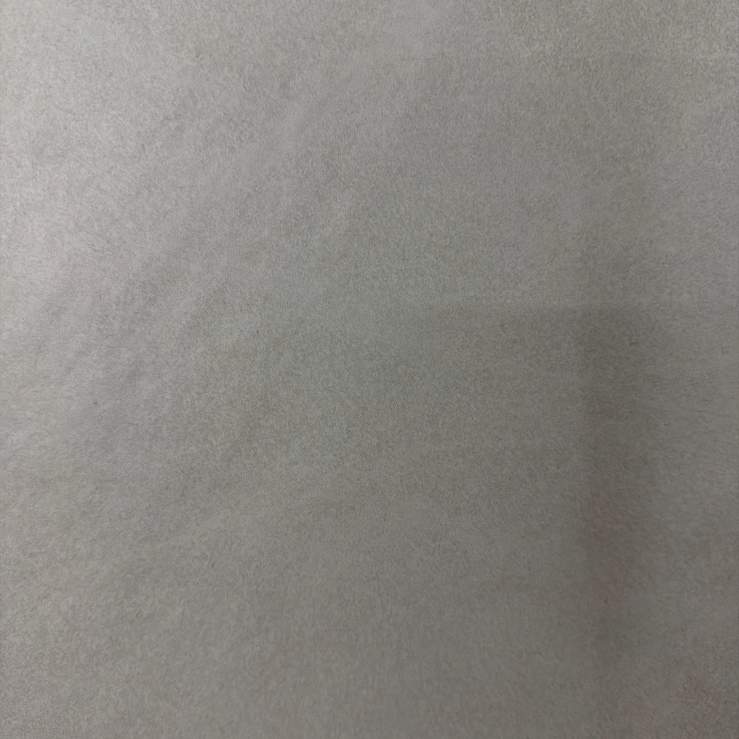 FP