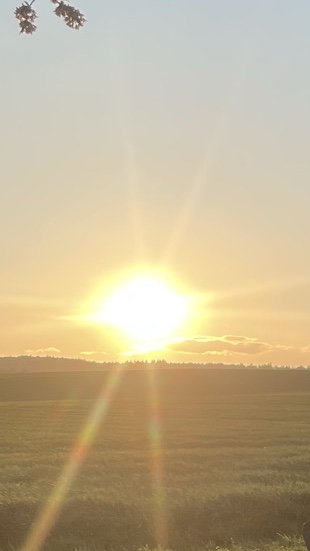 AA