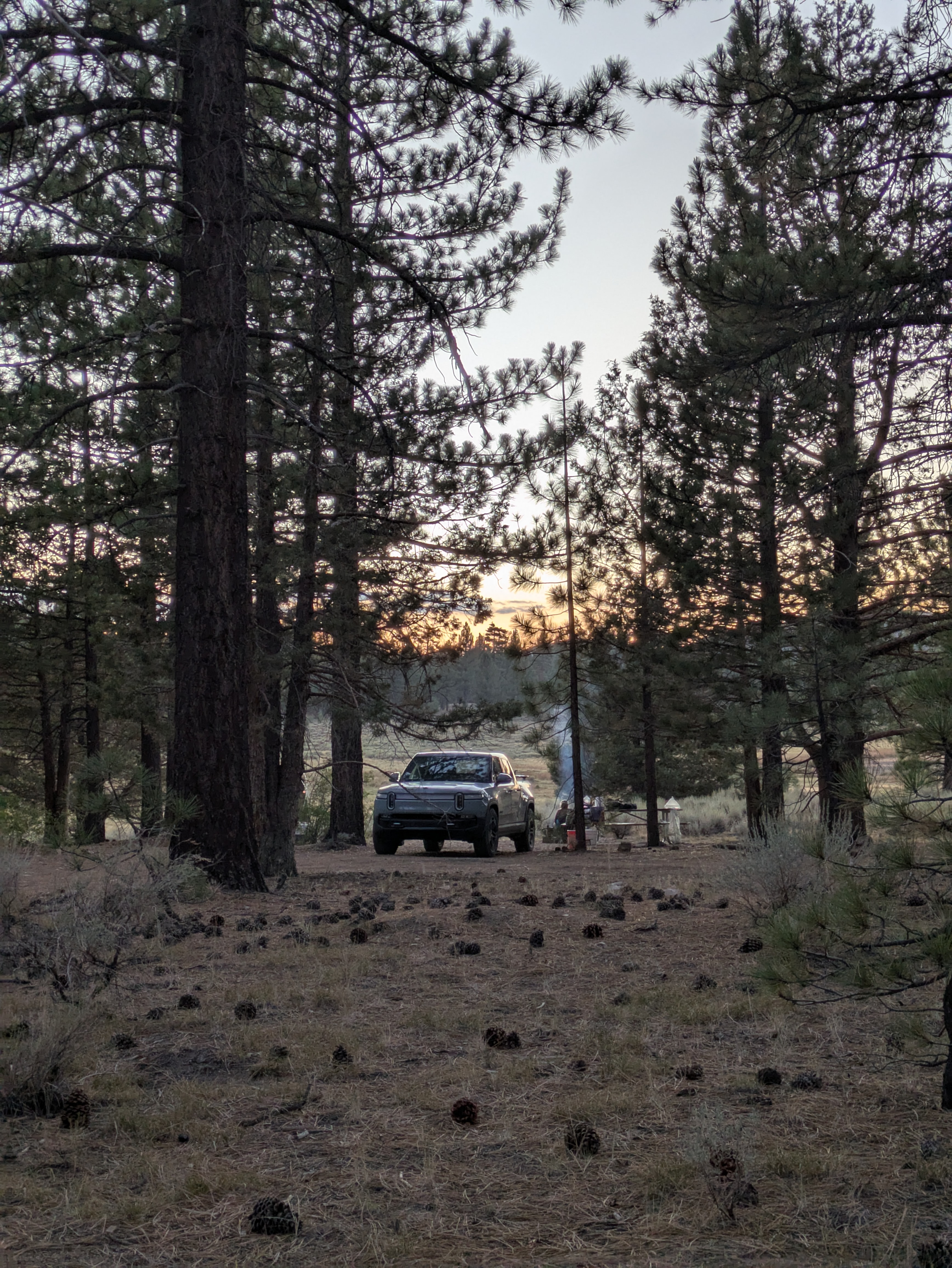RS
