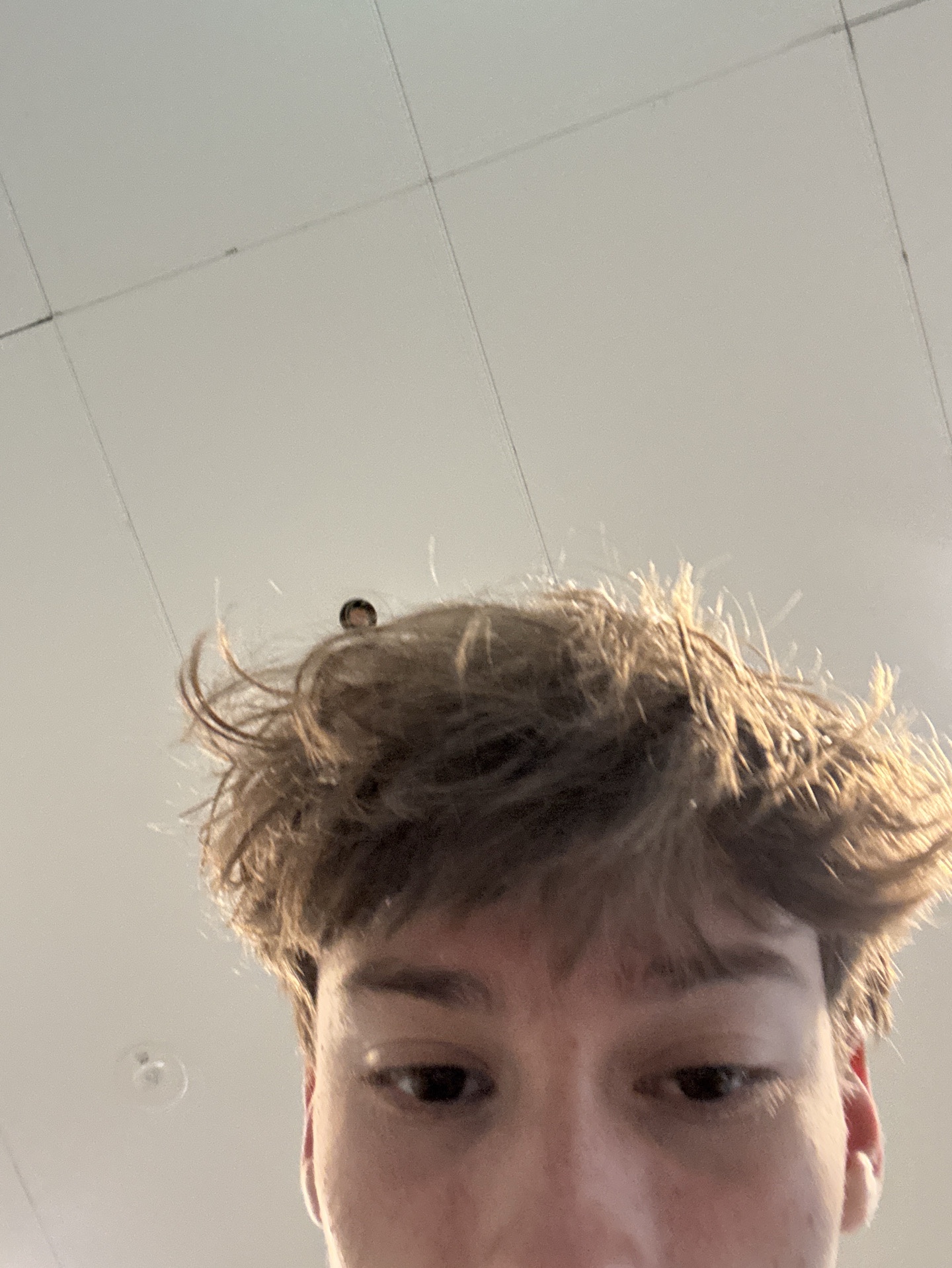 MV