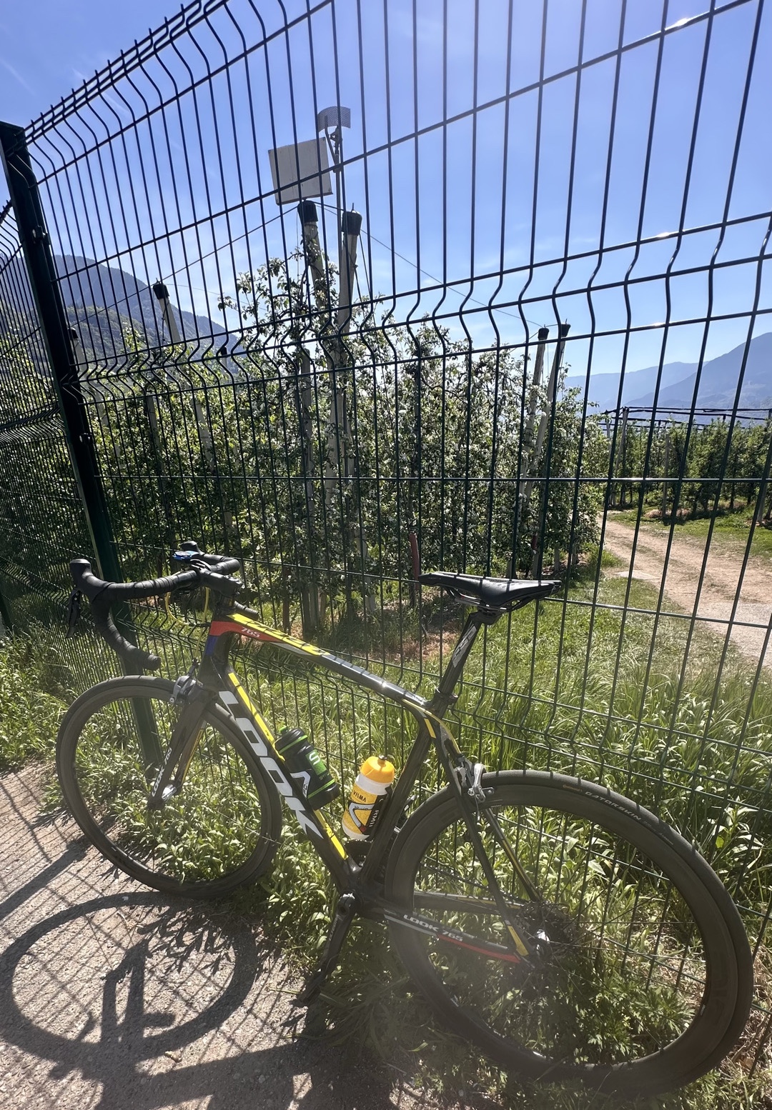 FS
