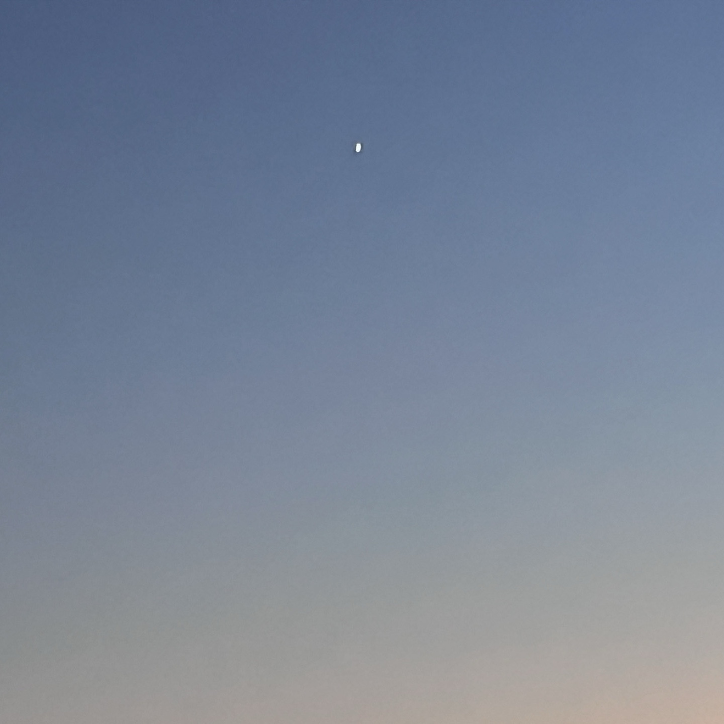 FP