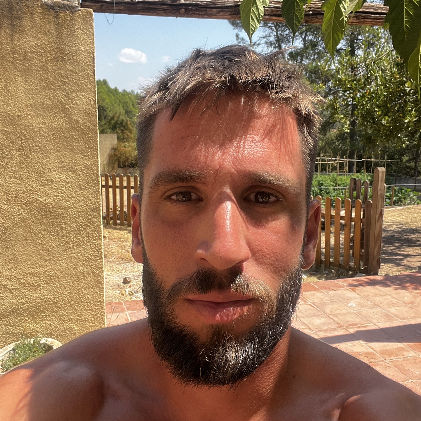 AV