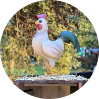 JP