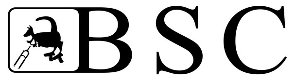 BS
