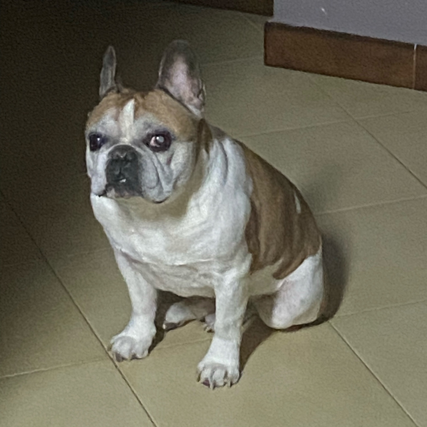 AM