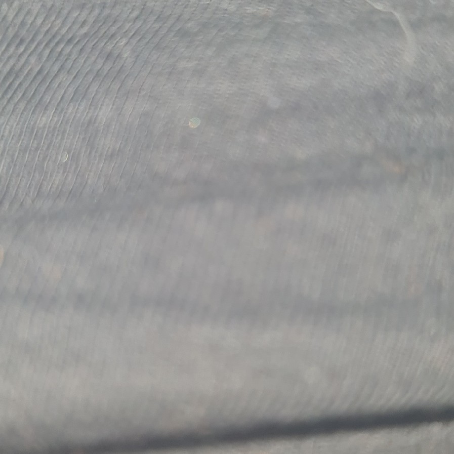 NC
