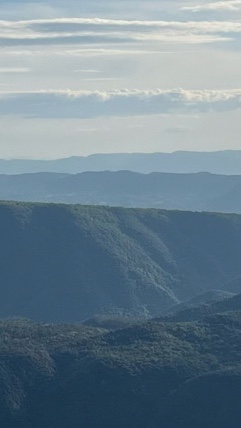 M.